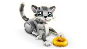 Playful Cat