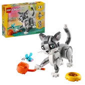 Playful Cat