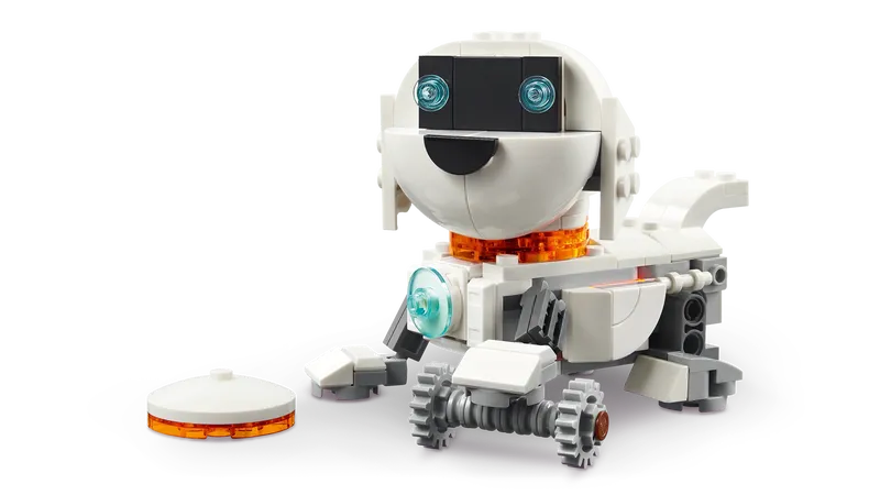 Space Robot
