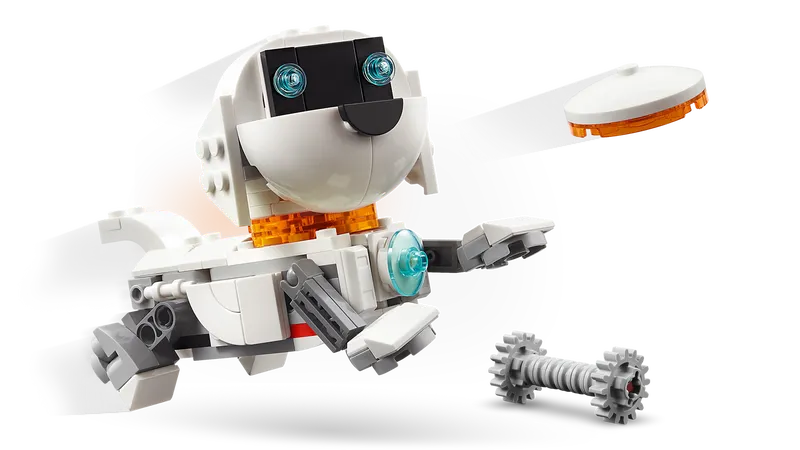 Space Robot