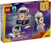 Space Robot