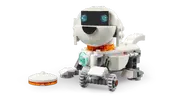 Space Robot