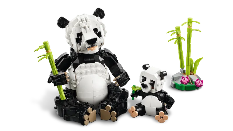 Wild Animals: Panda Family