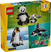 Wild Animals: Panda Family
