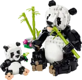 Wild Animals: Panda Family