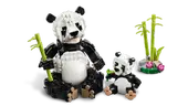 Wild Animals: Panda Family