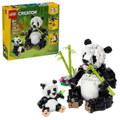 Wild Animals: Panda Family