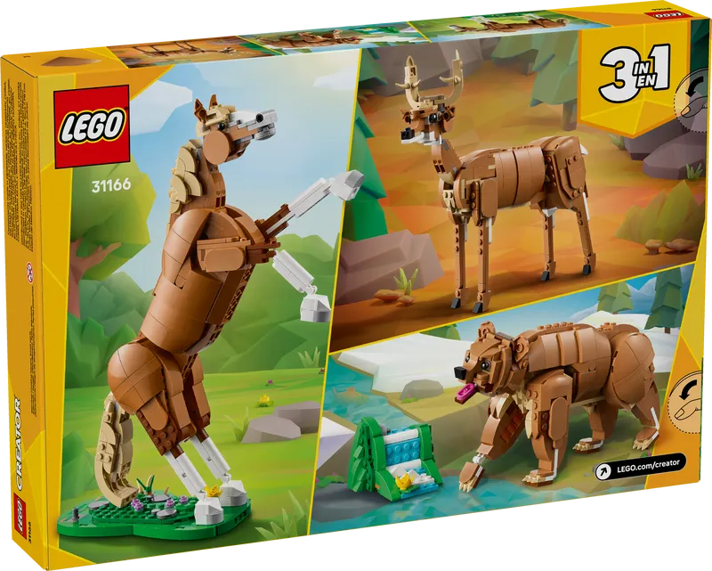 Beautiful Horse