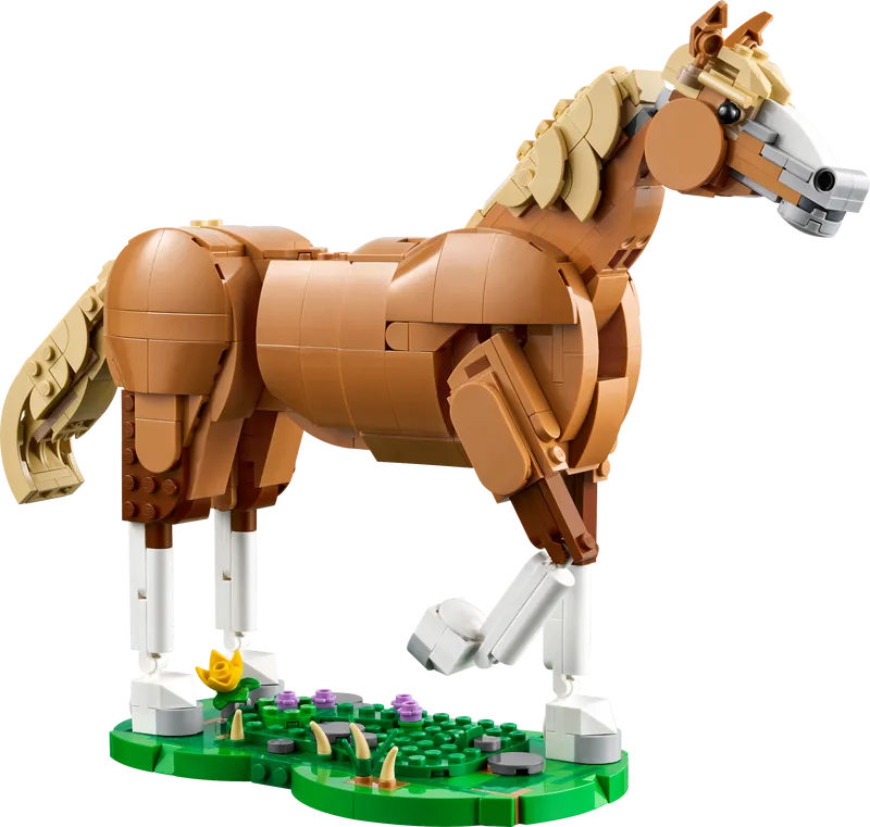 Beautiful Horse