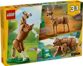 Beautiful Horse