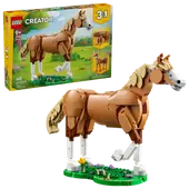 Beautiful Horse