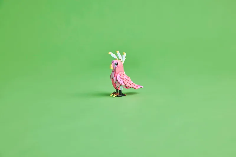 Wild Animals: Pink Flamingo