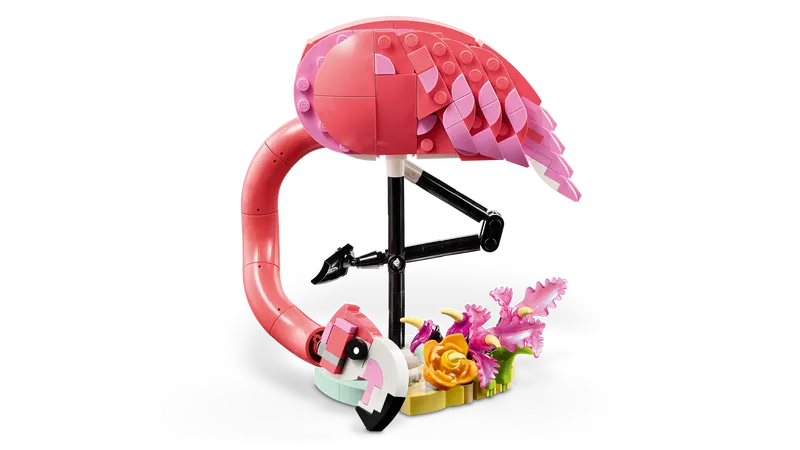 Wild Animals: Pink Flamingo