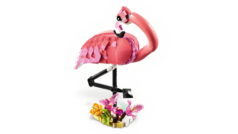 Wild Animals: Pink Flamingo