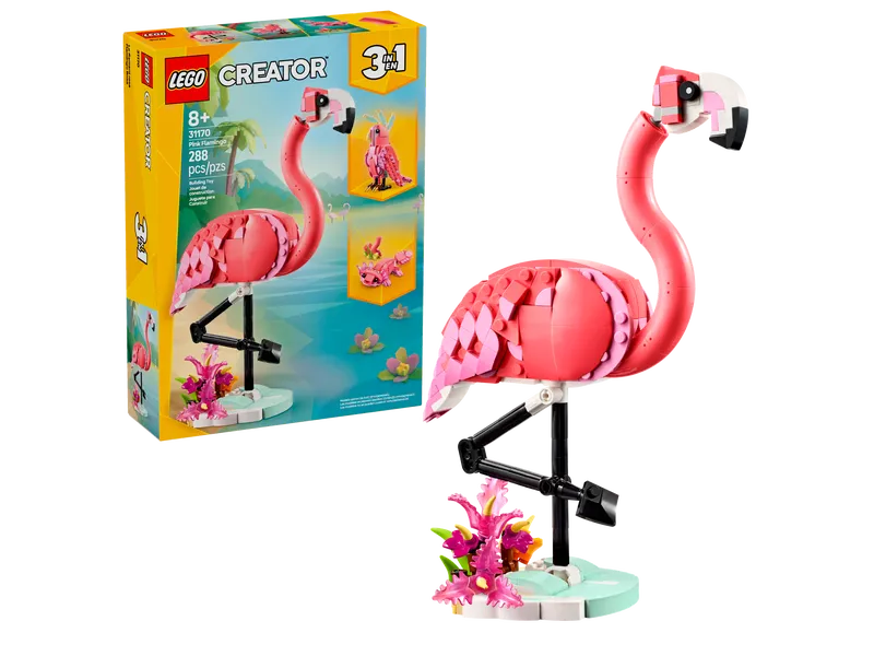 Wild Animals: Pink Flamingo