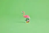 Wild Animals: Pink Flamingo
