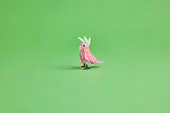 Wild Animals: Pink Flamingo