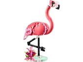 Wild Animals: Pink Flamingo