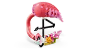 Wild Animals: Pink Flamingo