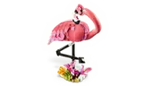 Wild Animals: Pink Flamingo