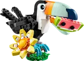 Wild Animals: Tropical Toucan