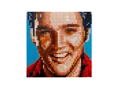 Elvis Presley – The King
