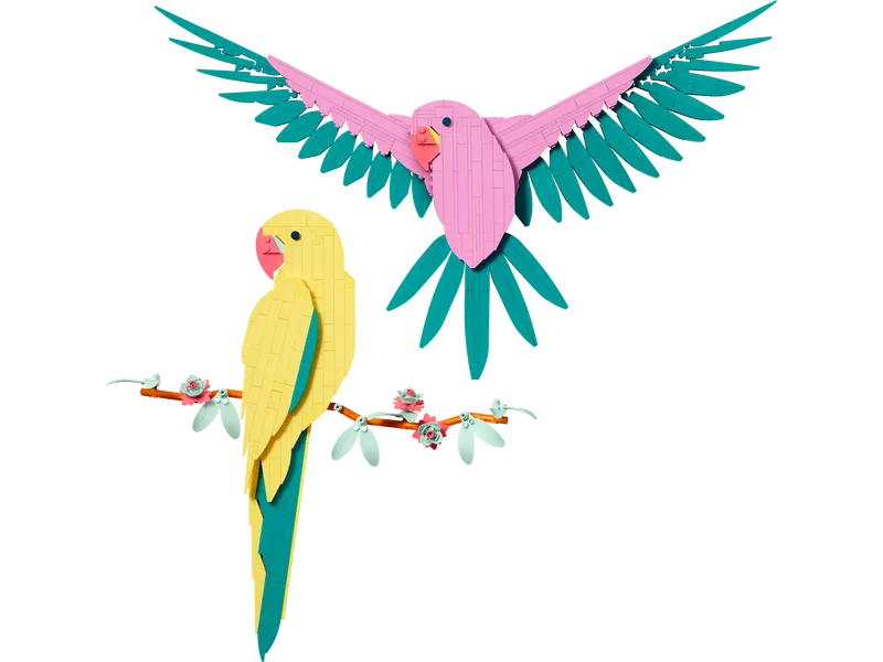 The Fauna Collection – Macaw Parrots