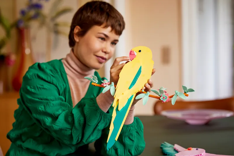 The Fauna Collection – Macaw Parrots
