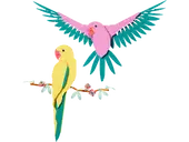 The Fauna Collection – Macaw Parrots