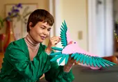 The Fauna Collection – Macaw Parrots
