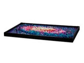 The Milky Way Galaxy