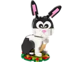 Year of the Rabbit