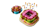 Birthday Party Cake