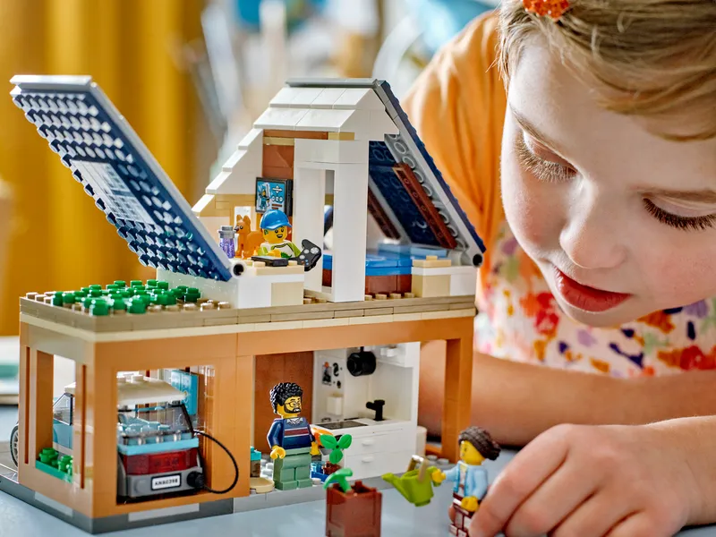 Family House and Electric Car