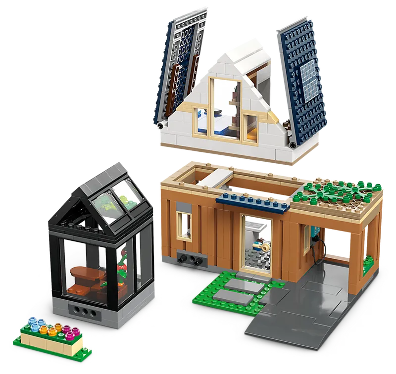 Family House and Electric Car
