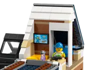 Family House and Electric Car