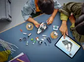Spaceship and Asteroid Discovery