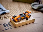 F1 Driver with McLaren Race Car